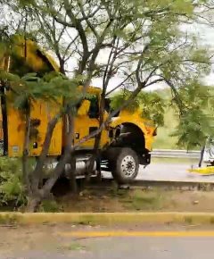 Tractocamión choca contra árbol en la Morelia-Salamanca 