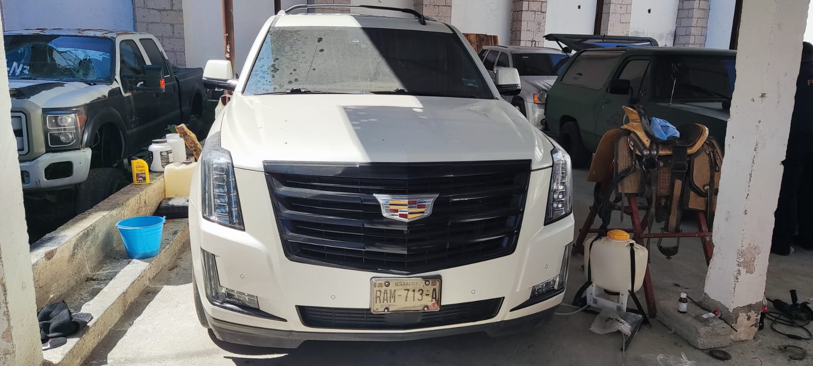 FGE catea inmueble baleado en Queréndaro; asegura vehículos y animales exóticos 