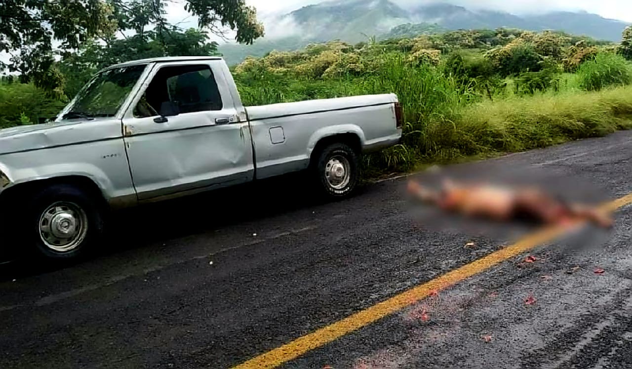 Hallan decapitado a recolector de basura en carretera de Tepalcatepec