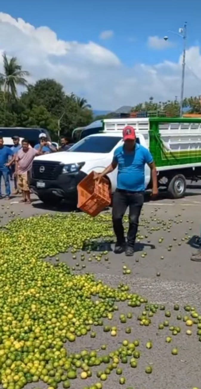 “Ahí ta pues si lo quieren regalado ahí está” limoneros tiran 2 toneladas de limon en protesta por el bajo costo del limón