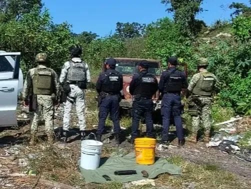 Ejército, GN y GC aseguran vehículos y droga tras operativo en Ziracuaretiro; no hay detenidos