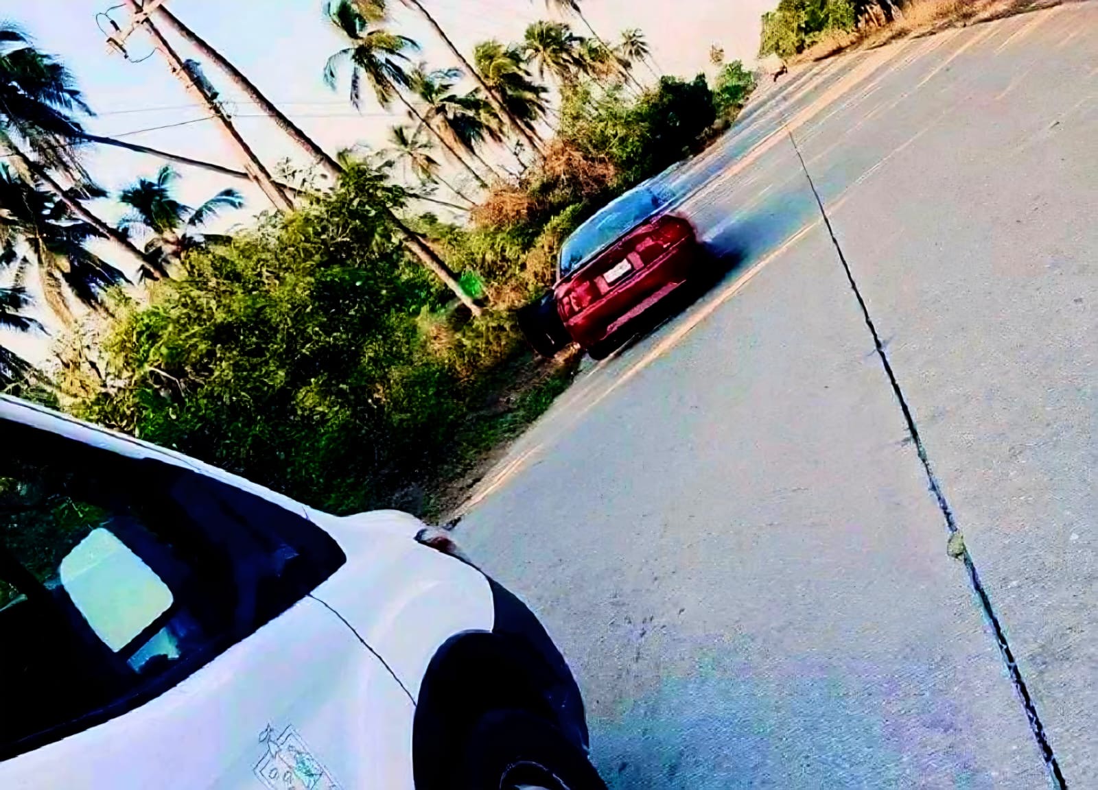 Adulta mayor muere camino al hospital, tras ser atacada por enjambre de abejas