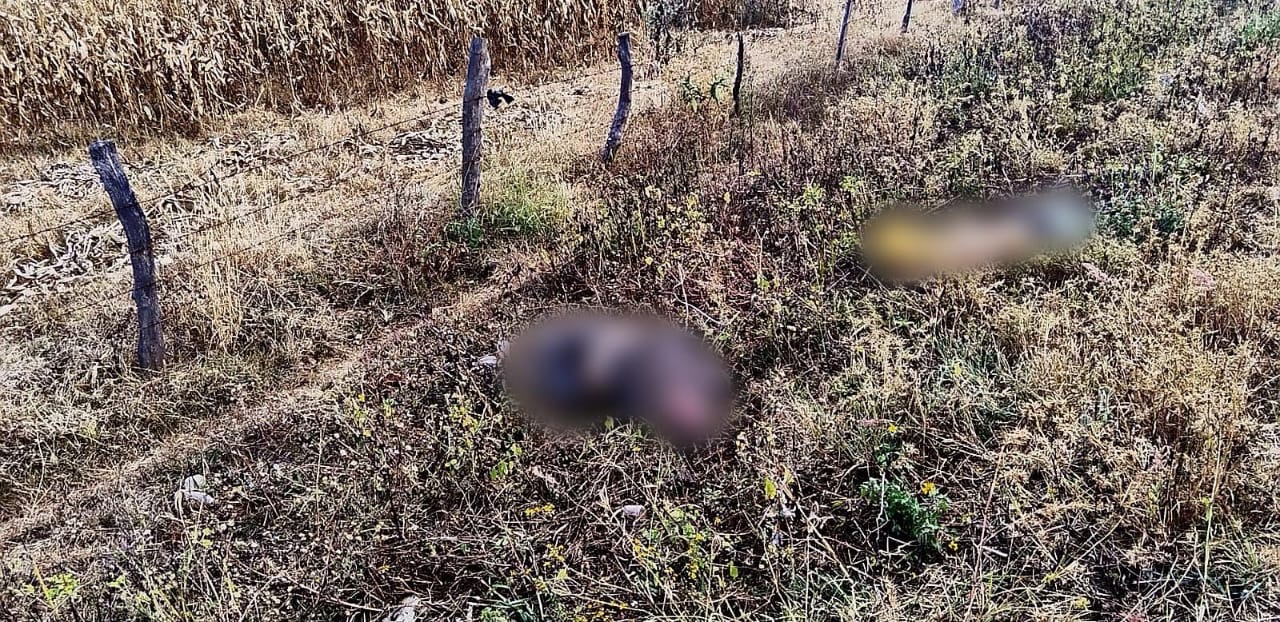 Localizan dos masculinos ejecutados en Paso del Molino 